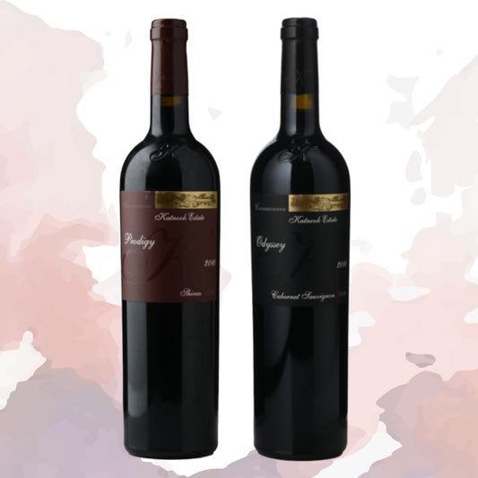 Katnook 2010 Prodigy Shiraz & Odyssey Cabernet Sauvignon Twin Pack